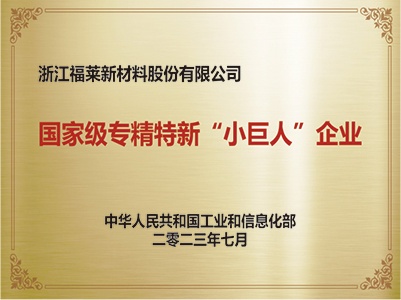 國家級“專精特新”小巨人企業(yè)